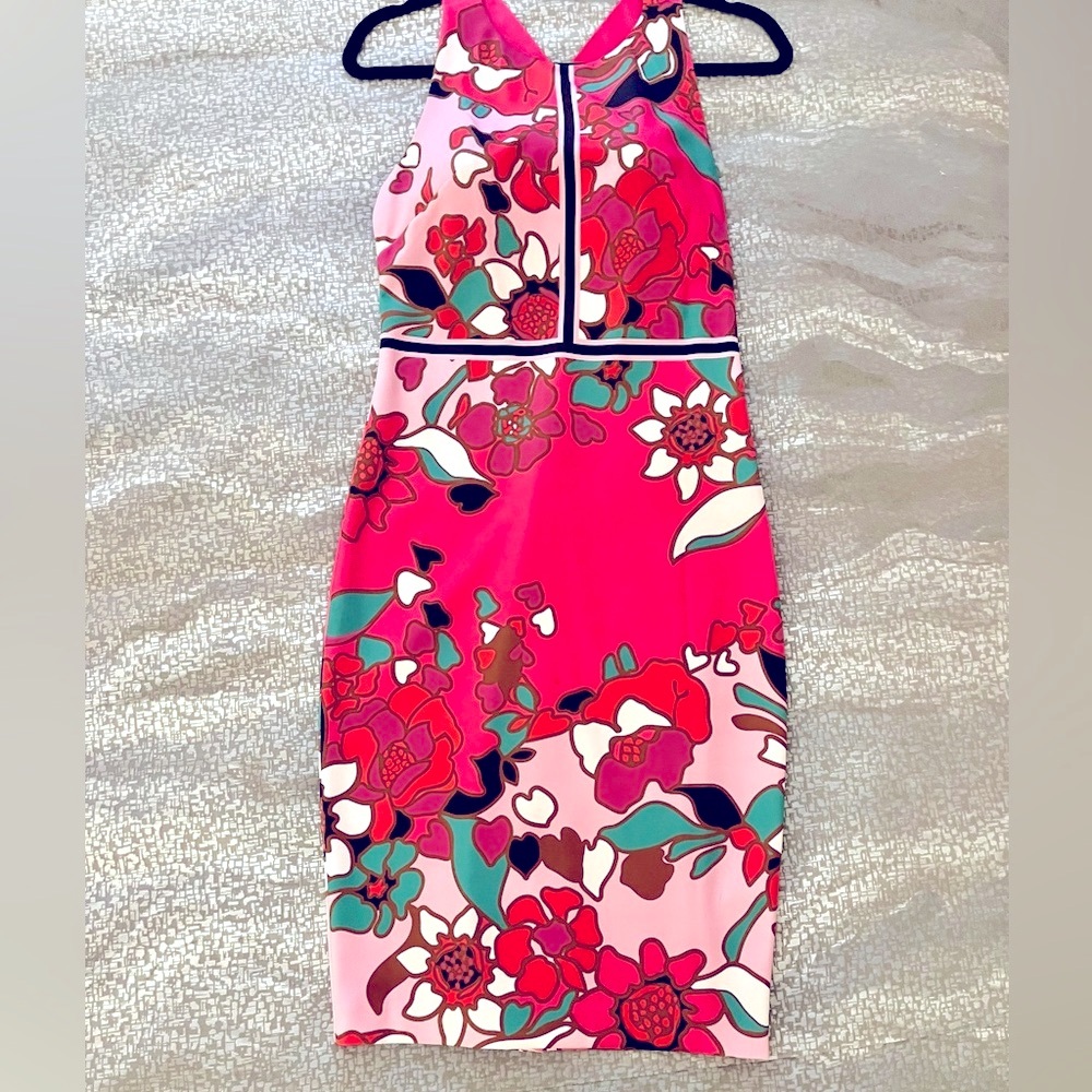 SEXY Ted Baker Dress
